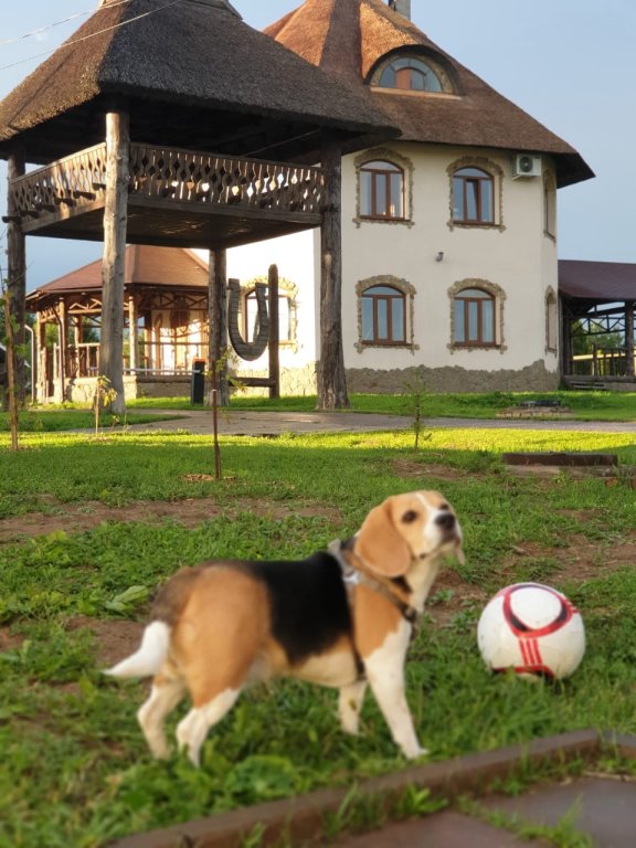 Vorontsovo Mini Hotel in Sergiyev Posad, Russia