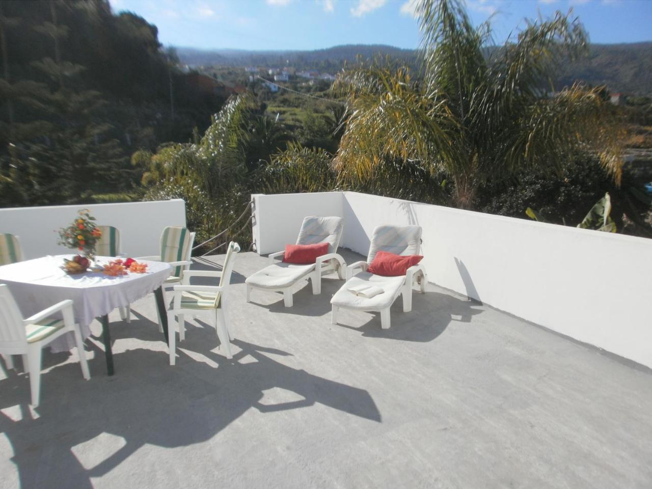 Finca las Palmeras — Icod De Los Vinos — photo 2
