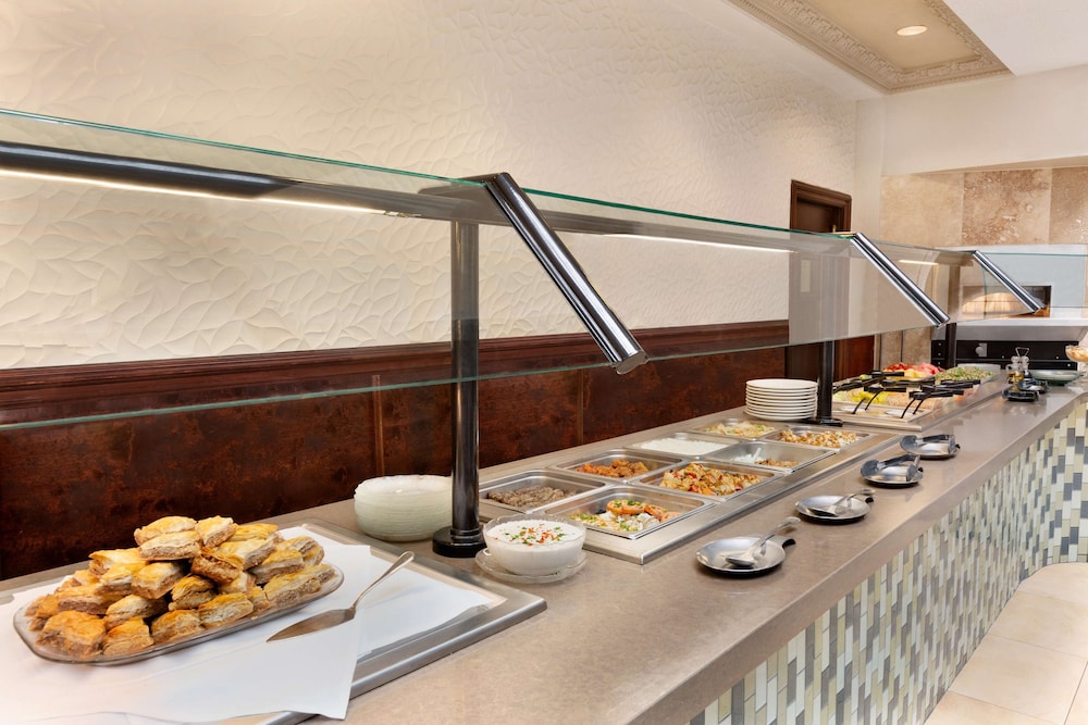 Embassy Suites by Hilton Dallas DFW Airport South - photo 25