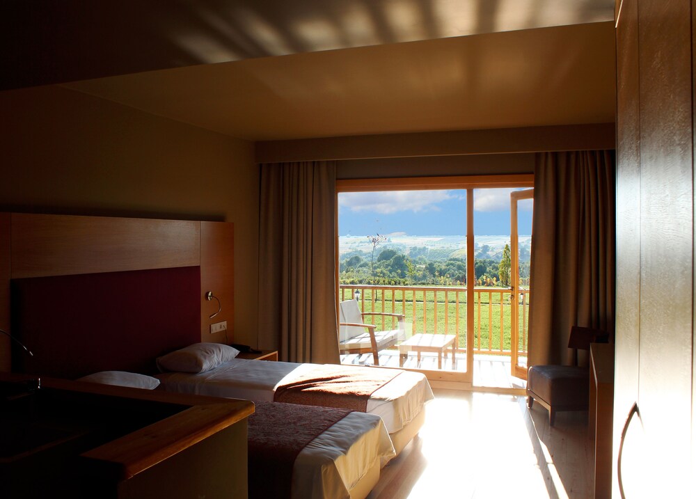 Bakucha Vineyard Hotel & Spa — Luleburgaz — photo 3