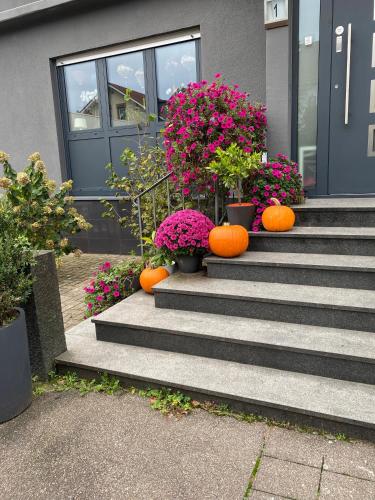 Günstiges Privatzimmer in Loerrach, Germany