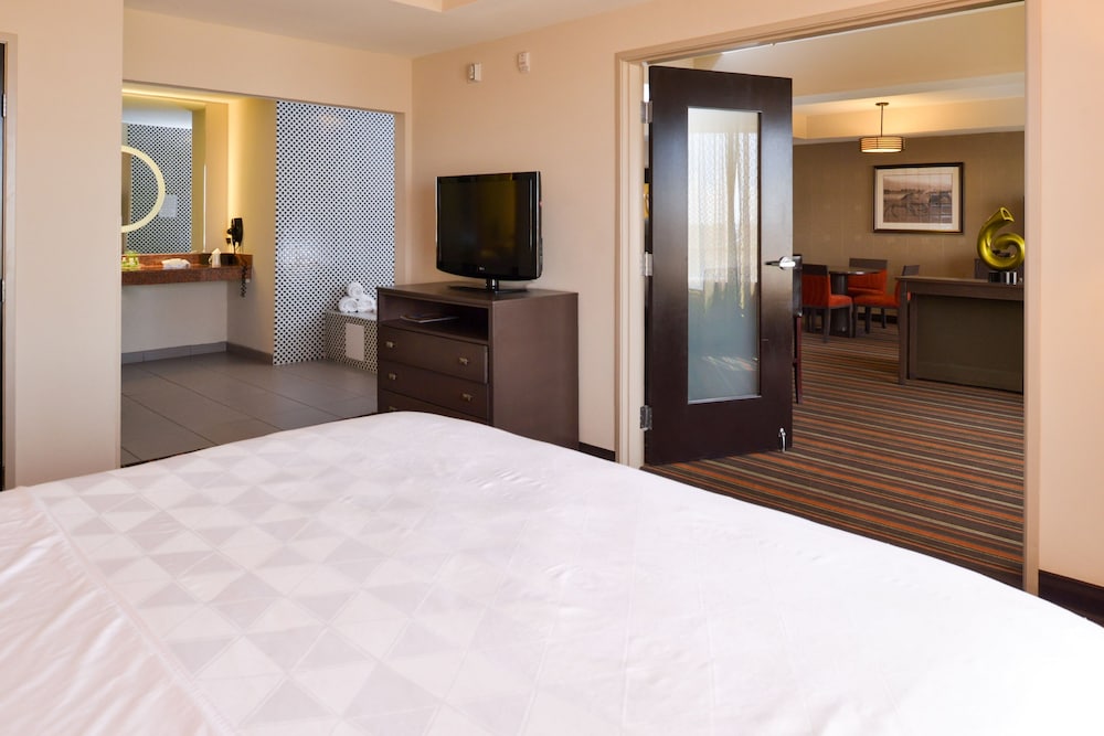 Holiday Inn Amarillo West Medical Center by IHG - photo 8