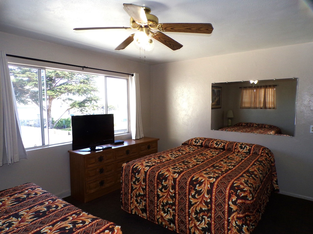 Cypress Tree Motel - photo 43