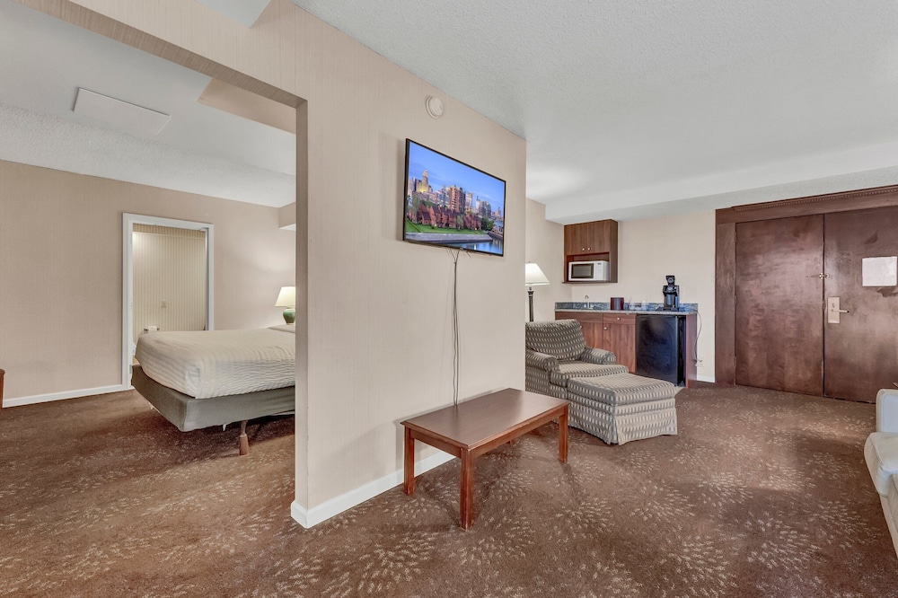 Buffalo Airport Hotel - photo 37