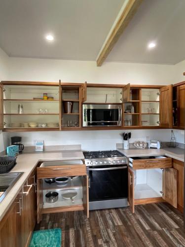 Hidden Gem of Bocas in Bocas Del Toro, Panama