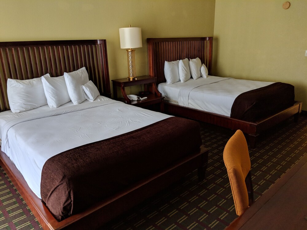 Vista Inn Lake Tarpon - photo 16