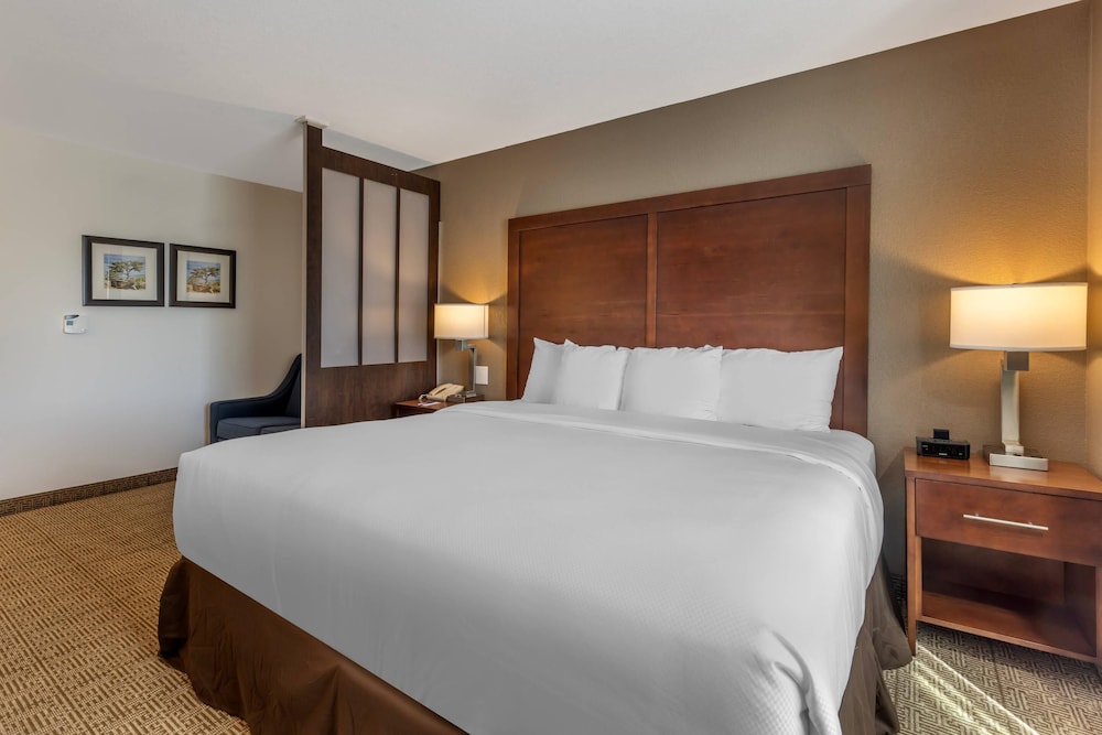 Comfort Inn & Suites Aztec Farmington Area - photo 37