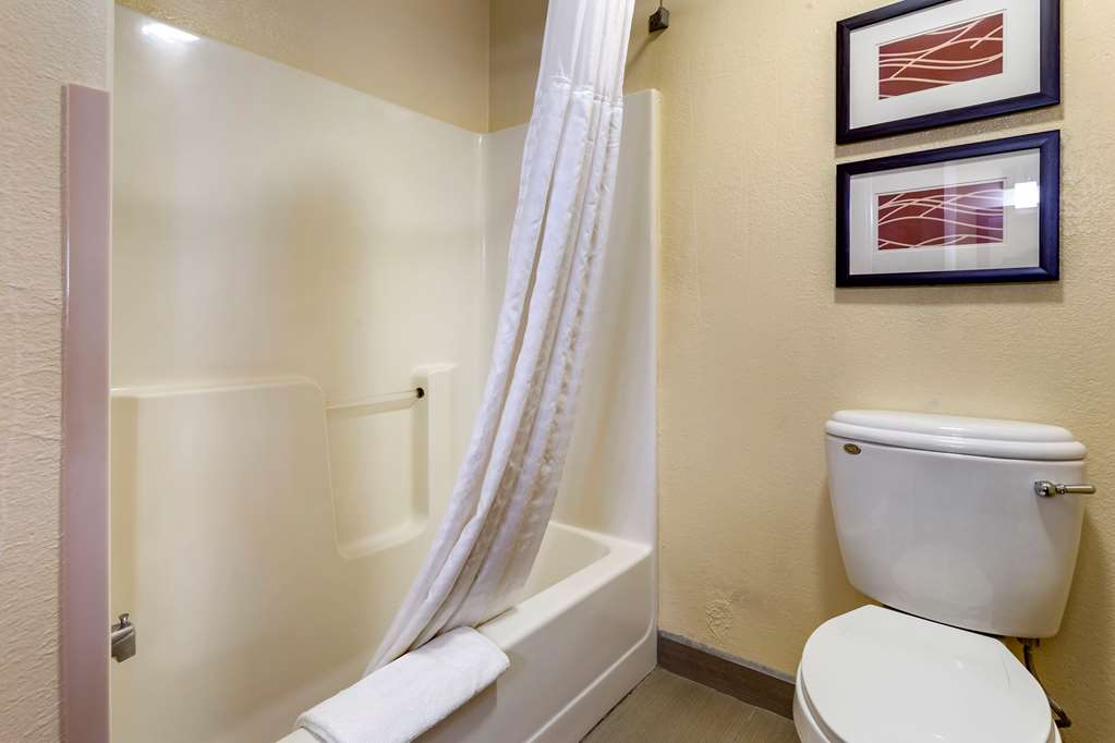Comfort Inn & Suites North Aurora Naperville - photo 12