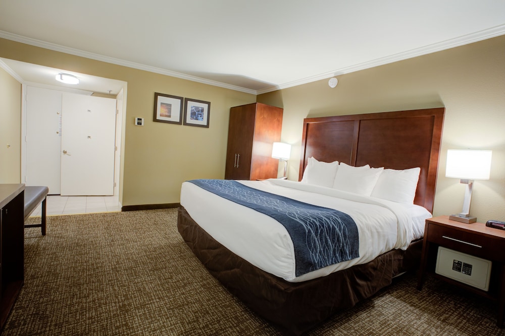 Comfort Inn Sunnyvale Silicon Valley - photo 16
