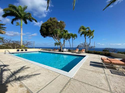 Betsy Jewel Caribbean Retreat — hotel near Henry E. Rohlsen Airport