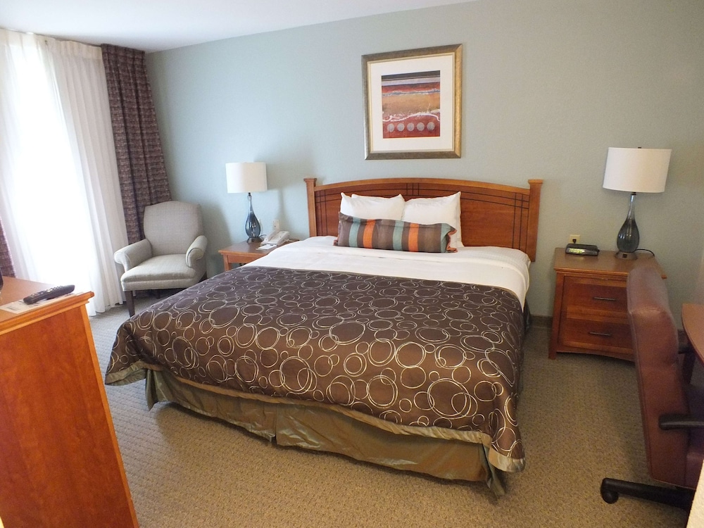 Staybridge Suites Irving Las Colinas by IHG - photo 5