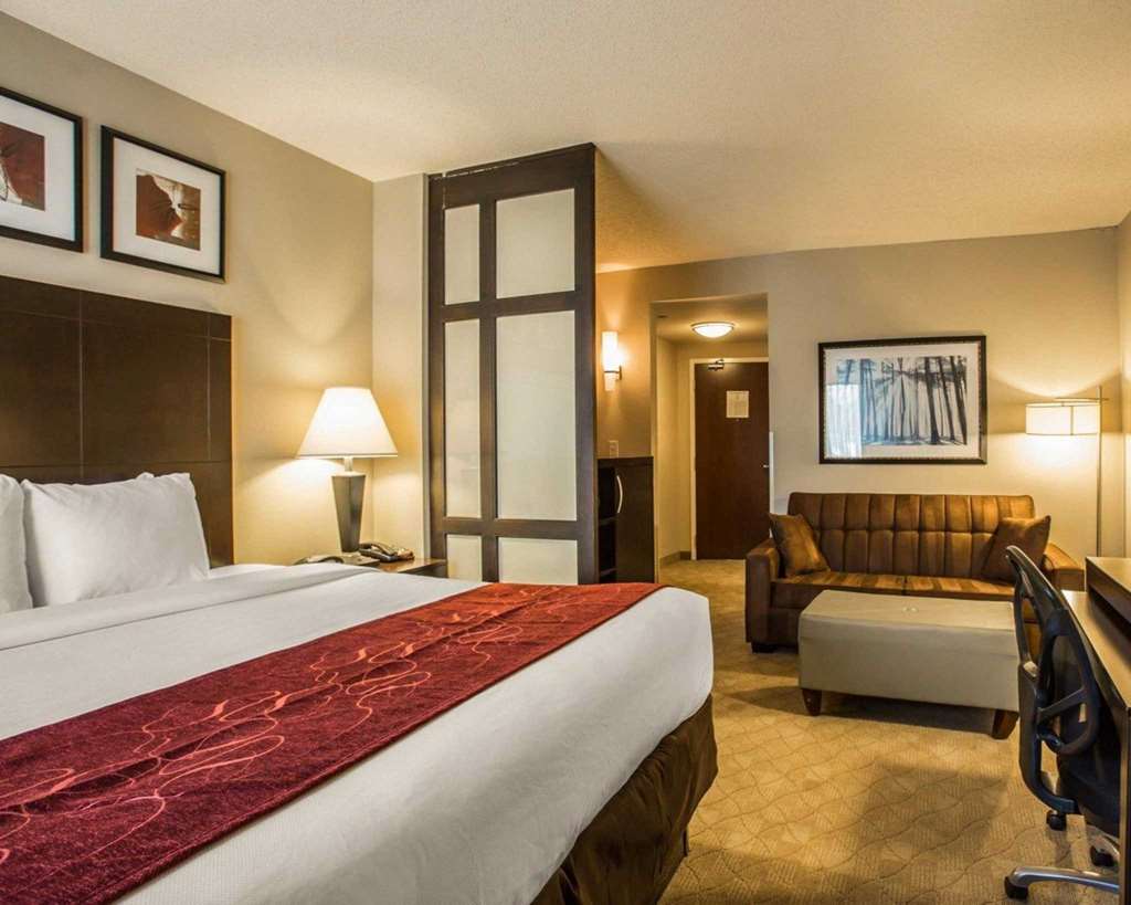 Comfort Suites Huntersville near Lake Norman - photo 9