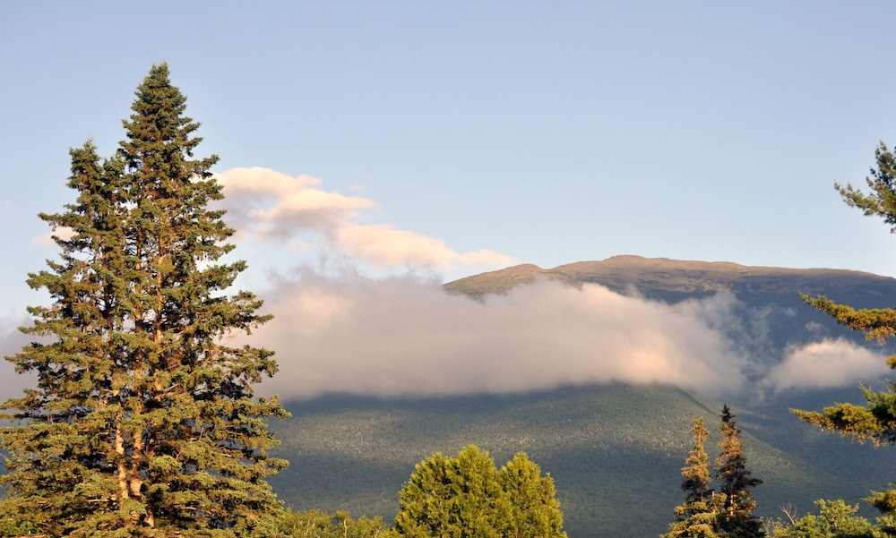 Mount Jefferson View - photo 67