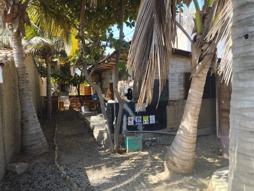 Los Almendros de Máncora — Mancora — photo 3