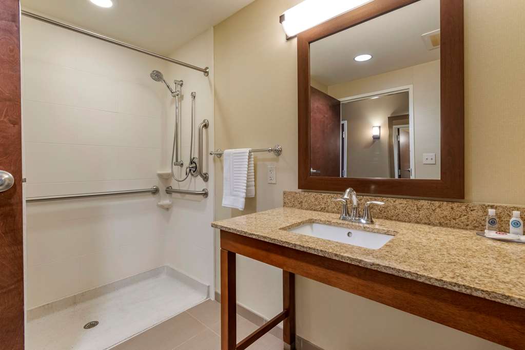 Comfort Inn PA Turnpike 1 81 - photo 19