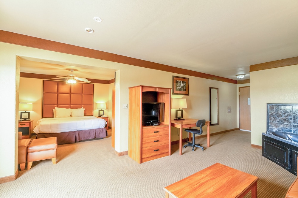 Texan Inn By Oyo Beeville Us 181 - photo 35