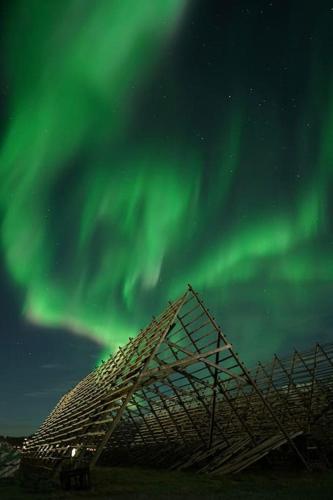 Lofoten Holiday — Kabelvag — photo 3