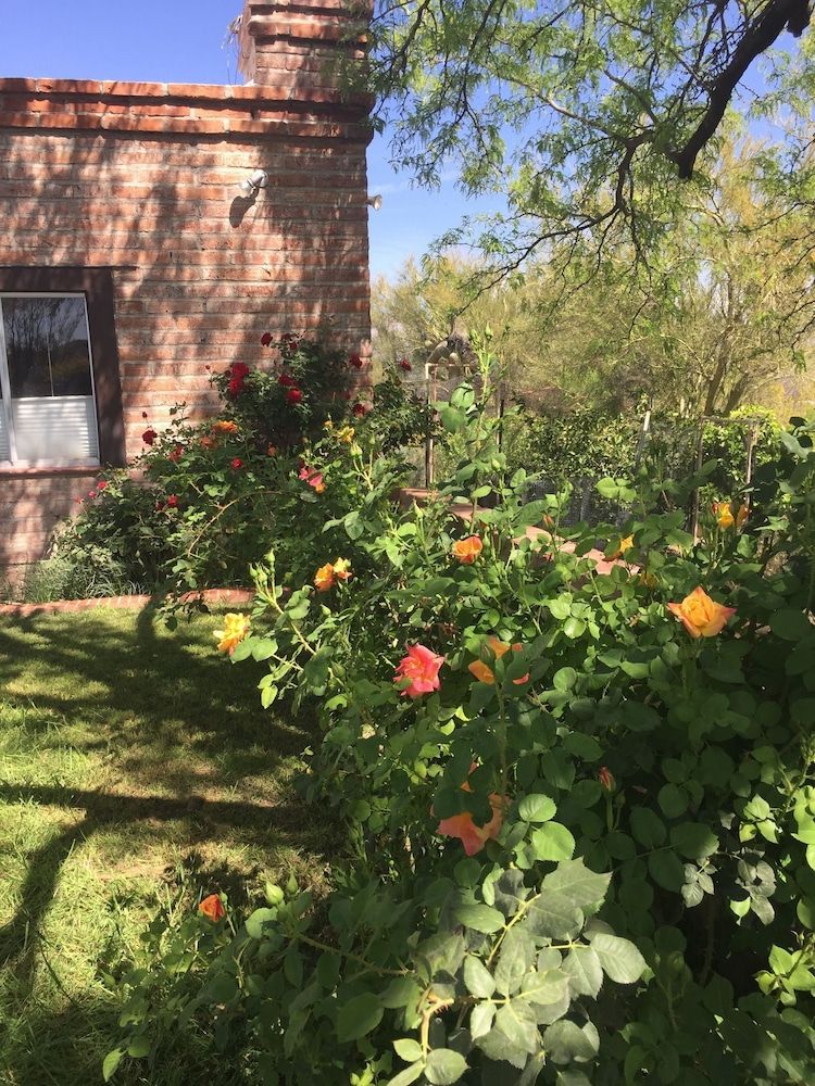 Desert Oasis B&B - photo 2