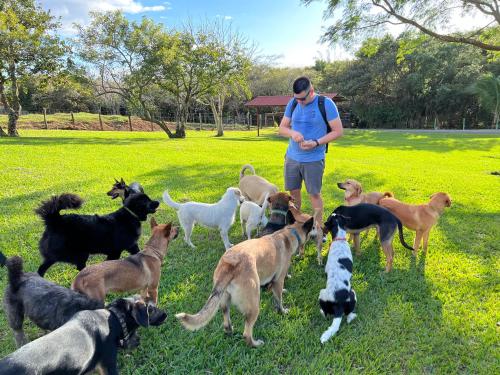 Guayabo Animal Rescue & Sanctuary in Unknown City, Costa Rica