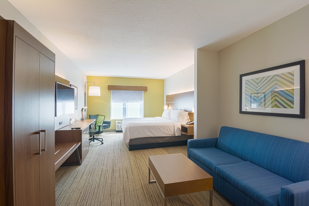 Holiday Inn Express & Suites Tampa USF Busch Gardens by IHG - photo 6