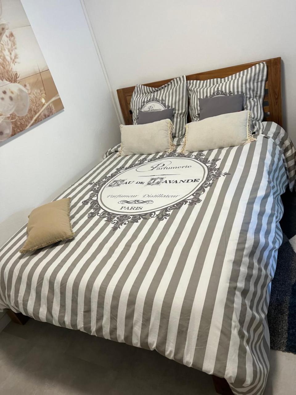Chill Home T2 Amenage 19595294 — Sainte Suzanne