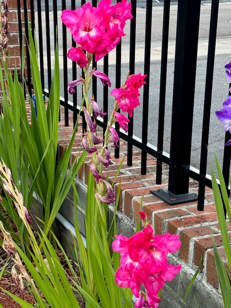 Super 8 by Wyndham Raleigh - photo 21