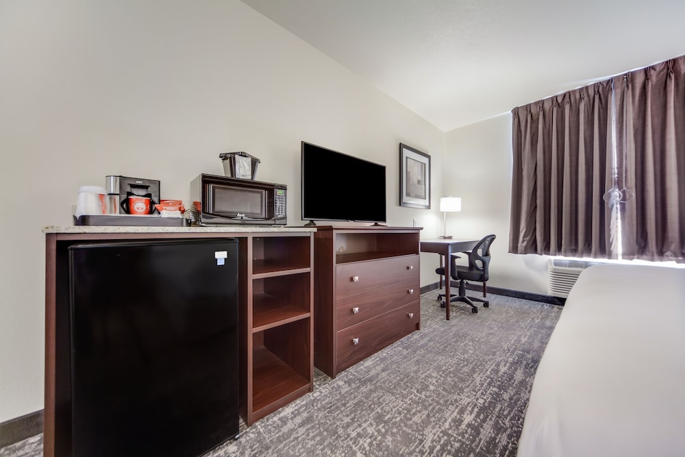 Cobblestone Inn & Suites Fremont - photo 9