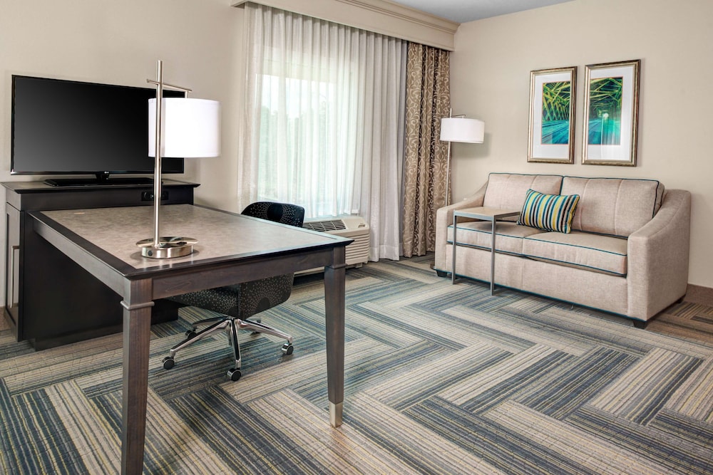 Hampton Inn & Suites by Hilton Atlanta Perimeter Dunwoody - photo 20