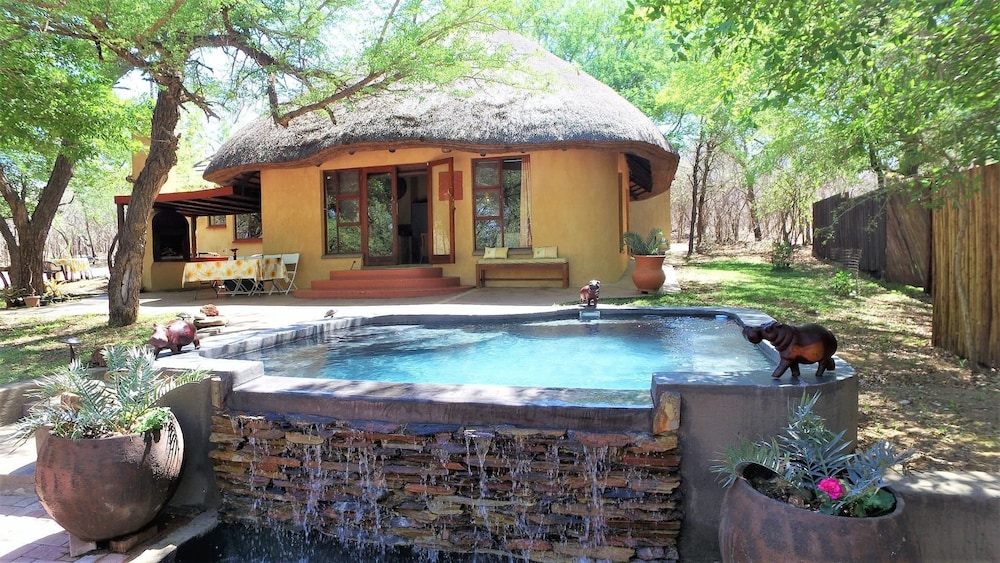 Hyenas Call in Komatipoort, South Africa