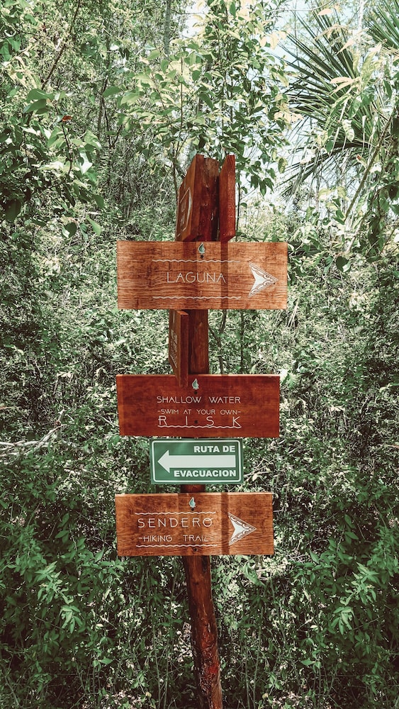 Hiking