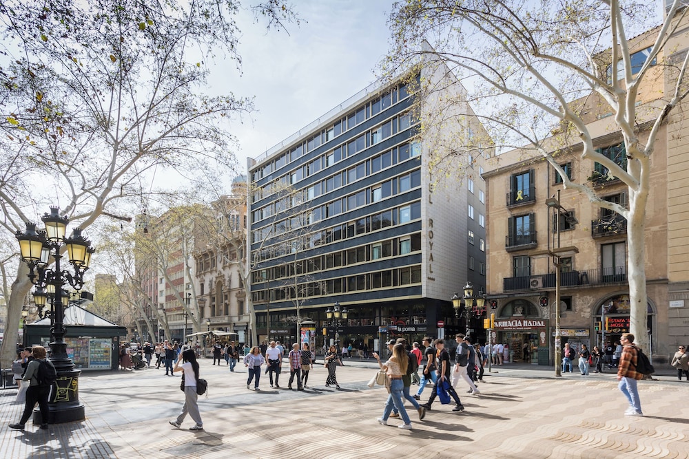 מראה חיצוני