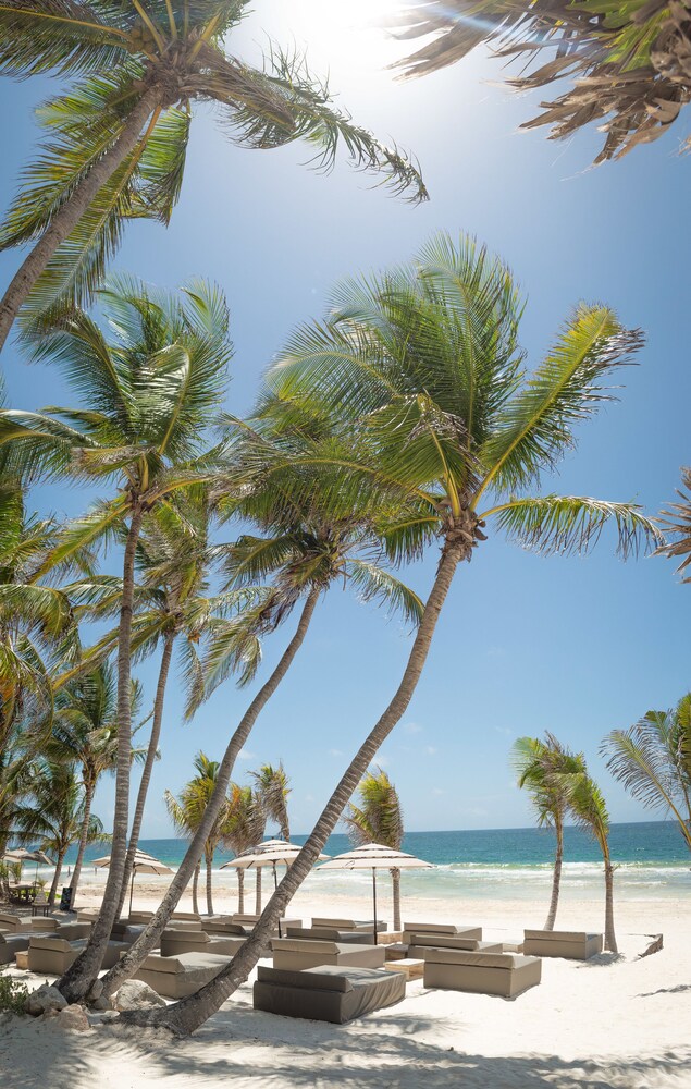 Beach/Ocean View