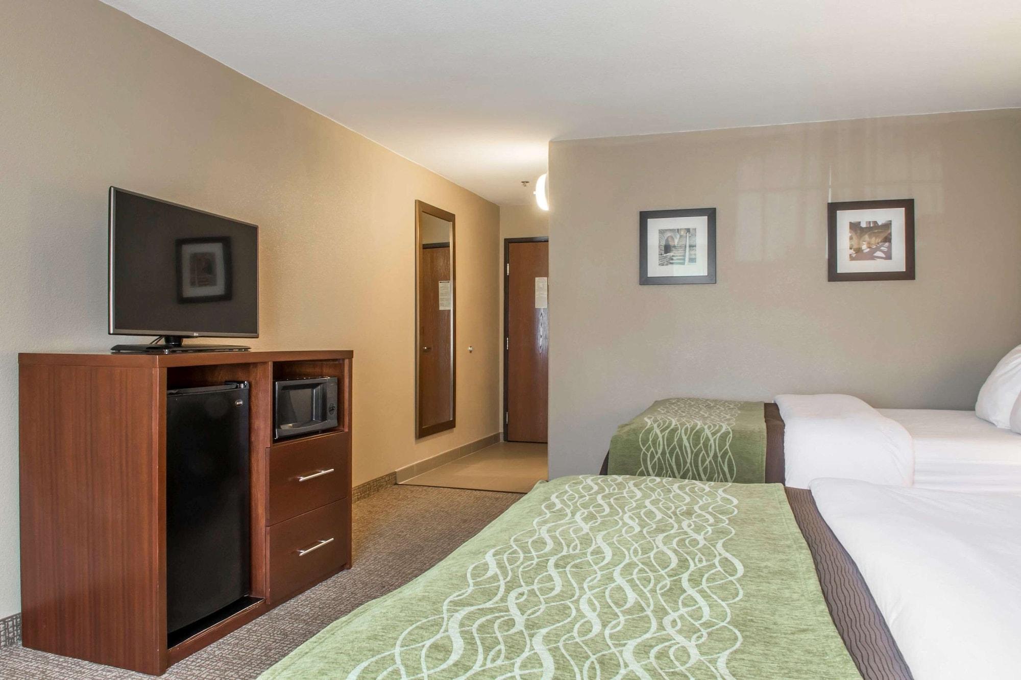 Comfort Inn Edinburg South - photo 15