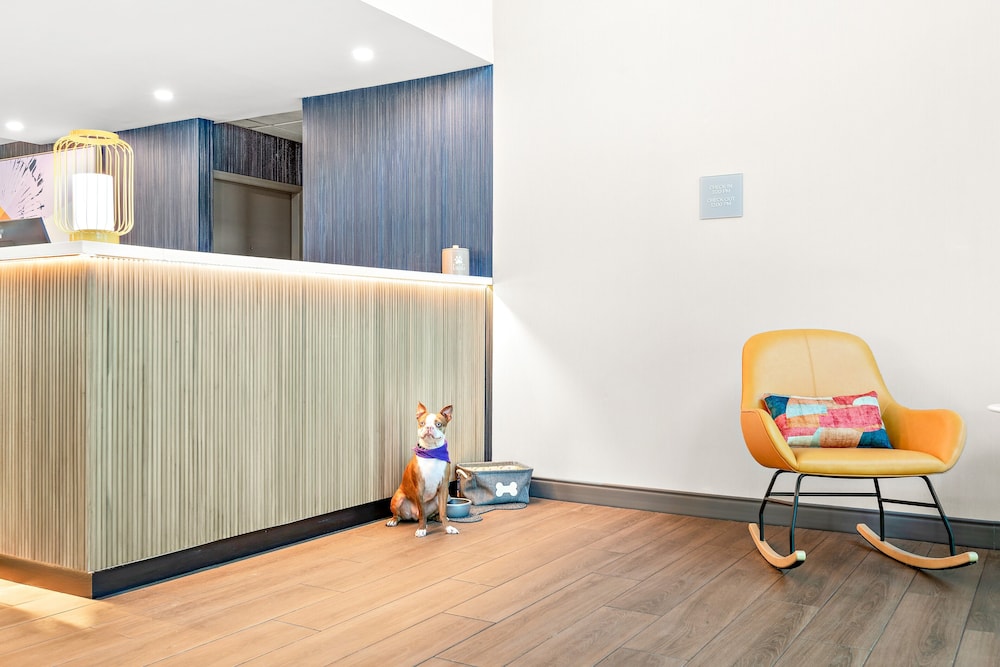 Inn At Chocolate Ave Surestay Collection By Bw - photo 6