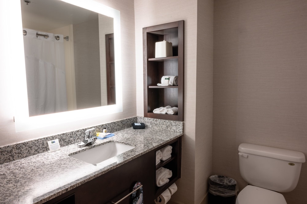Holiday Inn Express and Suites Tuscaloosa University an IHG Hotel - photo 23