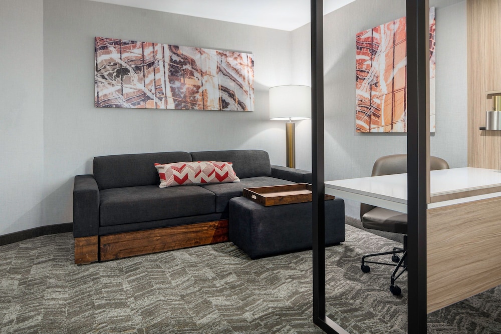 SpringHill Suites by Marriott Raleigh Apex - photo 14