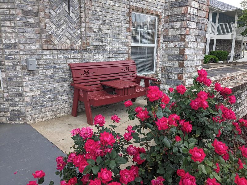 Dutton Inn - photo 17