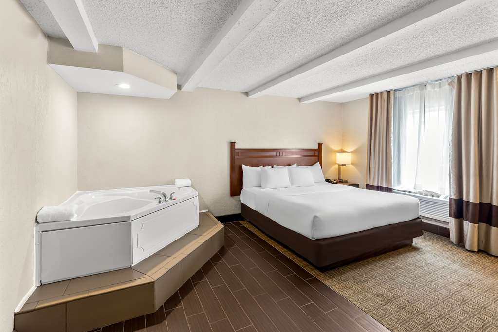Comfort Inn St. Louis Westport Event Center - photo 26