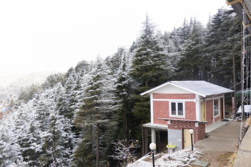 The Deodar Stays — Unknown City — photo 3