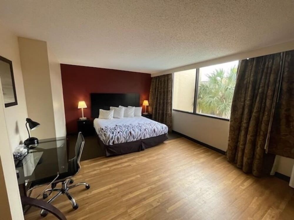 Tropical Palms Hotel - photo 9