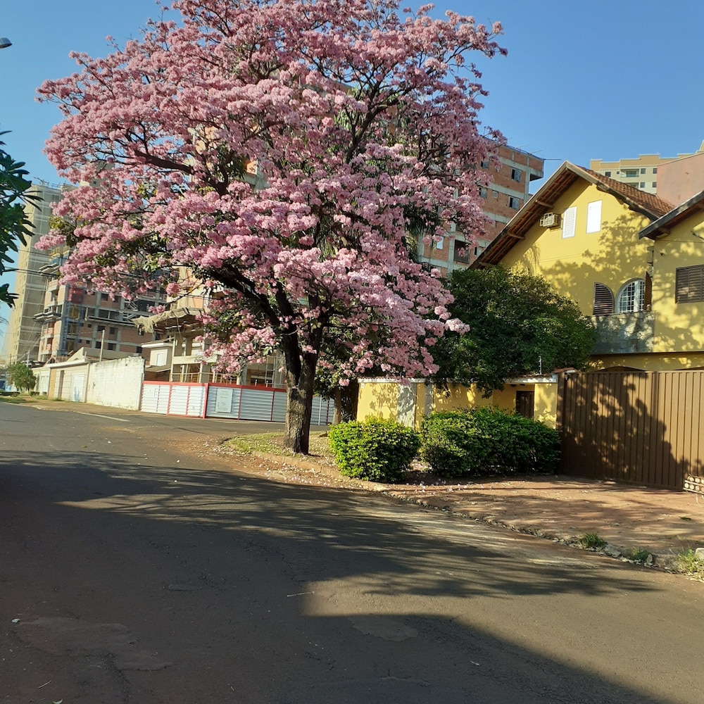 Pousada da Célia in Ribeirao Preto, Brasil