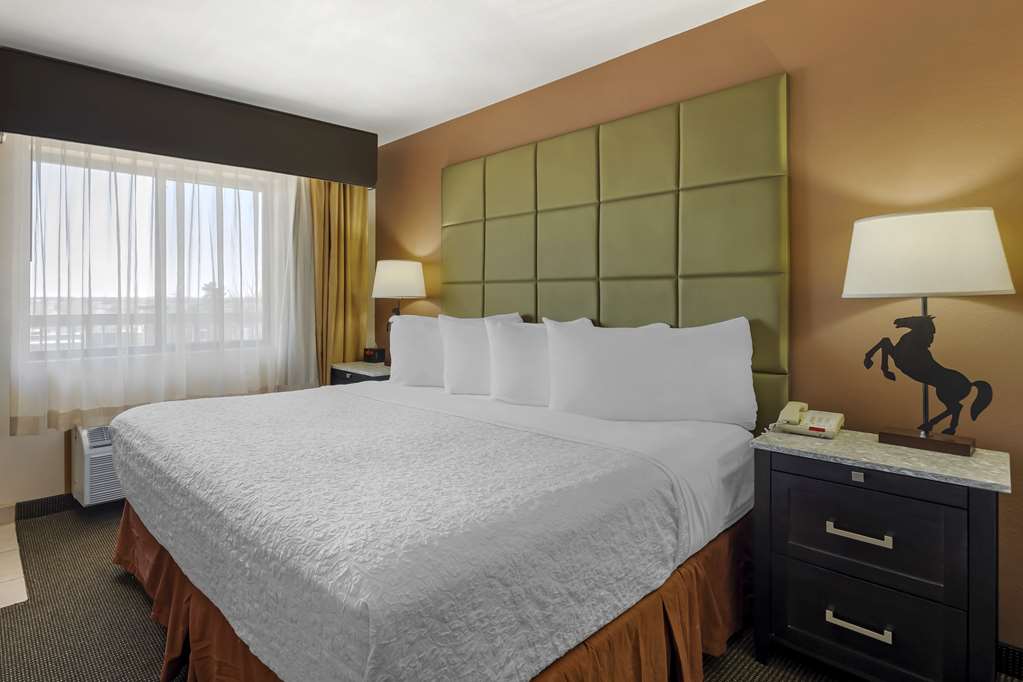 Best Western Plus Country Inn & Suites - photo 8