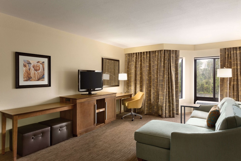 Hampton Inn & Suites Tarpon Springs - photo 20