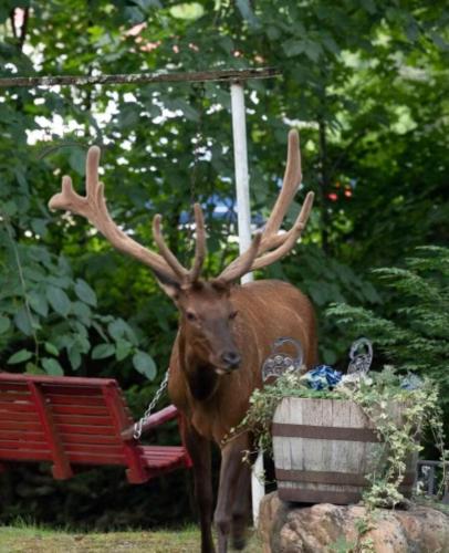 Rolling Brook Inn - photo 41