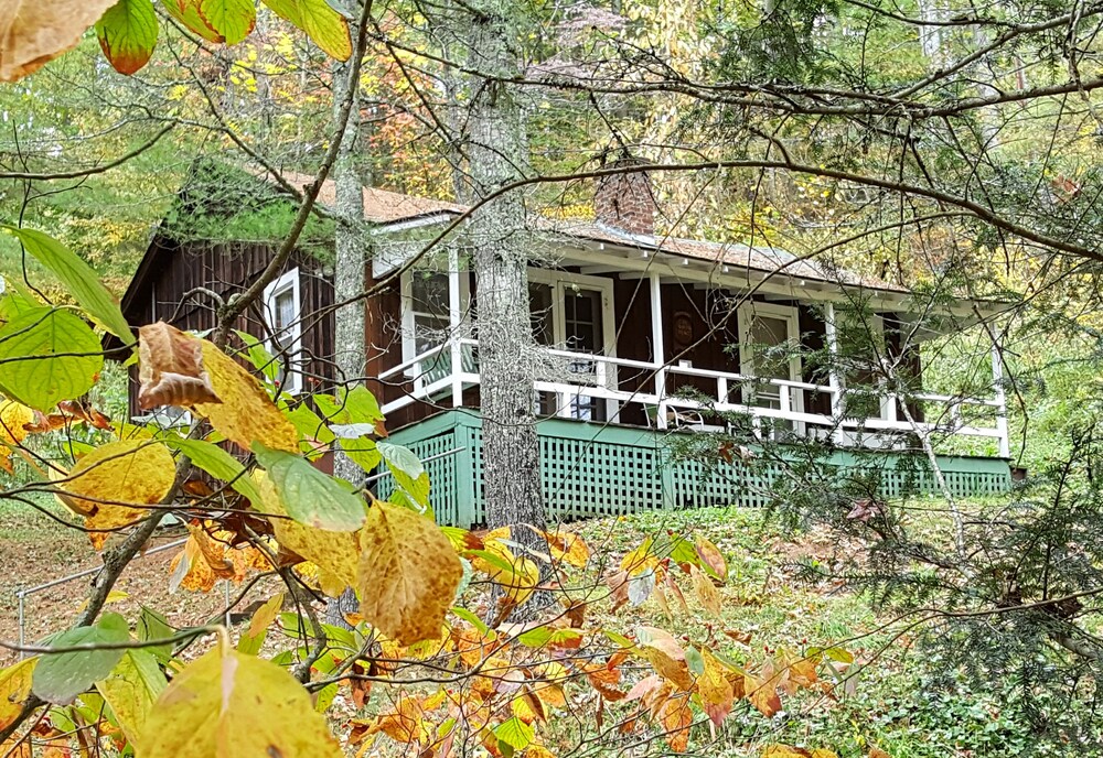 The Cabins at Healing Springs - photo 13