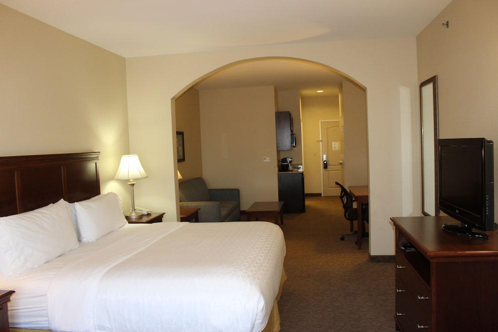 Holiday Inn Express & Suites Dallas Southwest Cedar Hill - photo 5
