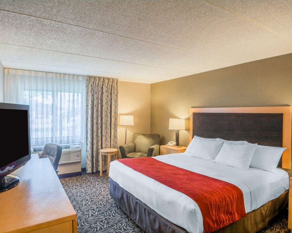 Comfort Inn NYS Fairgrounds - photo 15