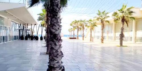 Colony Beach Hotel Apartment Tel Aviv Bat Yam 36 in Bat Yam, Israel