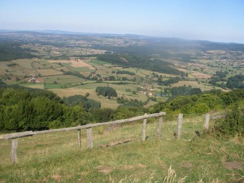 Le Trot’In Chair in Lyon, France