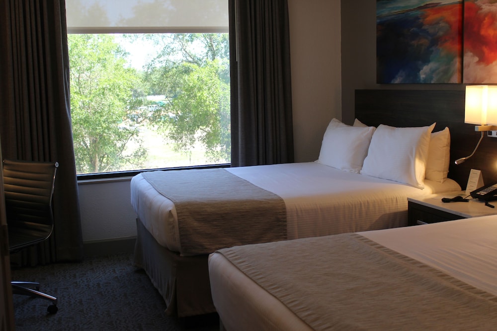 Buena Vista Suites Orlando - photo 35